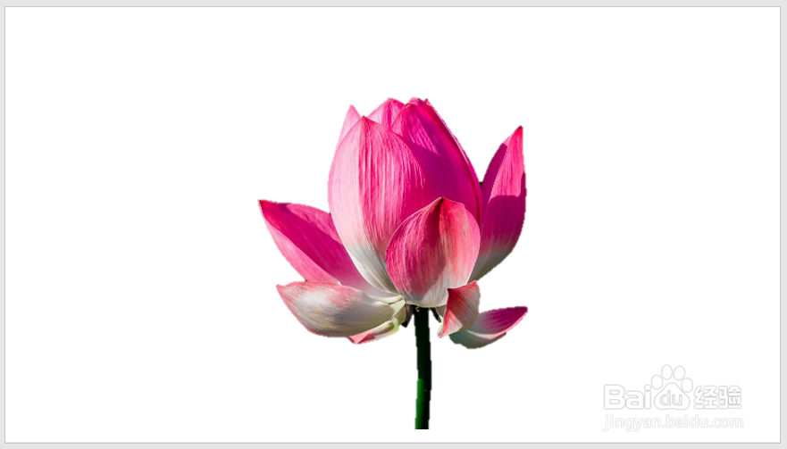 怎样使用PPT抠图