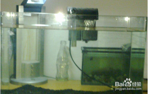 鱼缸水起白雾怎么解决