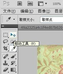 PS抠图法2 ---使用蒙版抠图