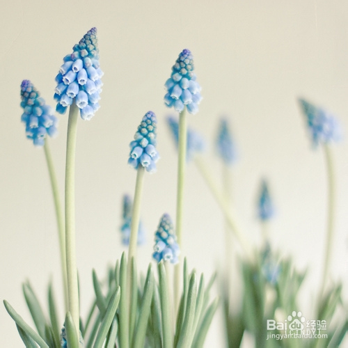 治冻疮，冻疮治疗