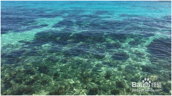 杜马盖地三日游——景点攻略