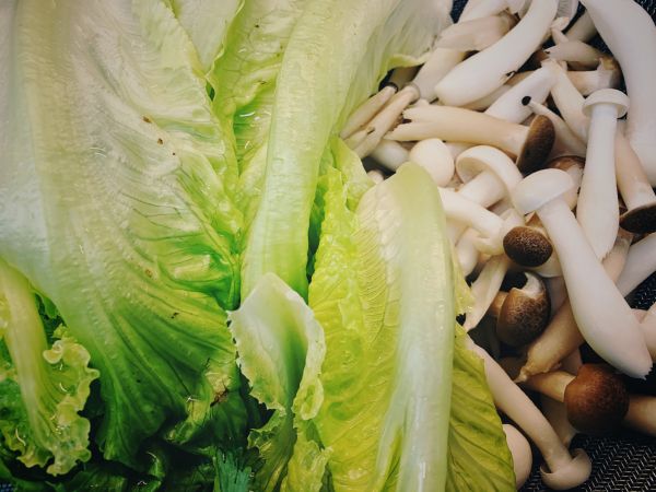 搭配多种蔬菜蘑菇