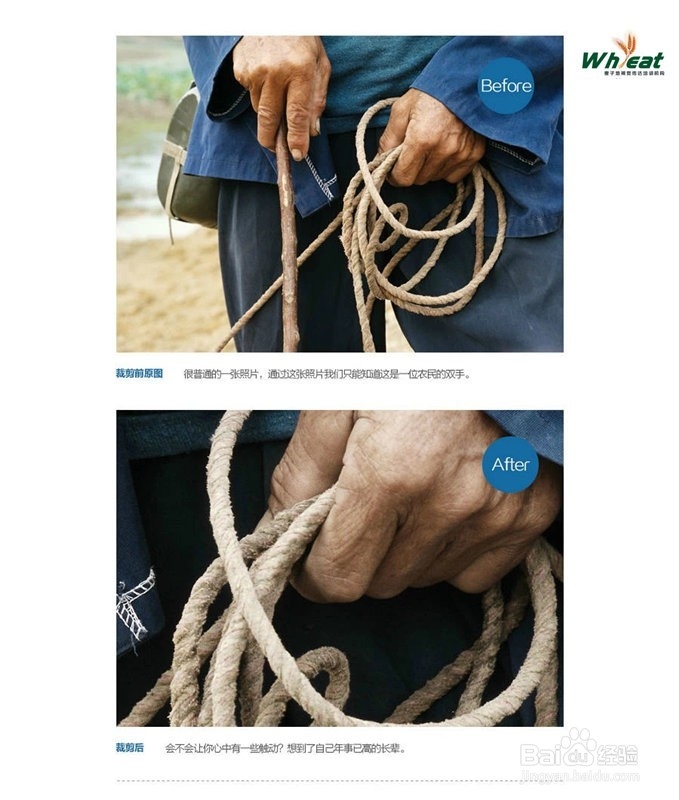淘宝美工培训 浅谈图像裁剪