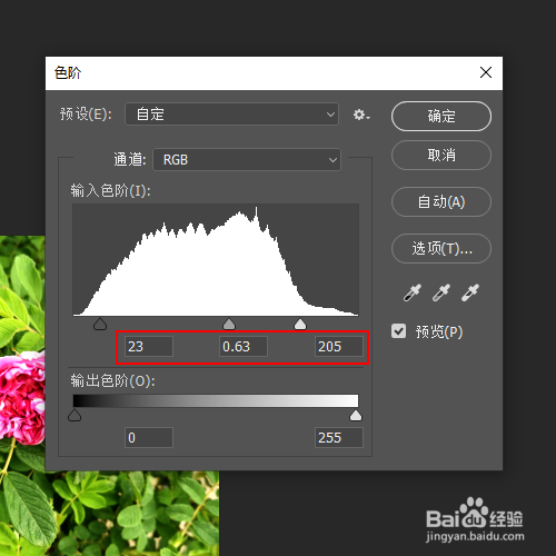 如何对图片中的图像进行方框模糊处理