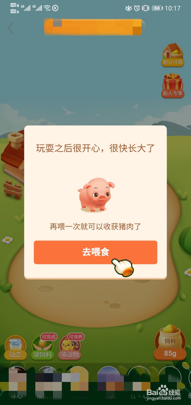 拼多多如何养猪