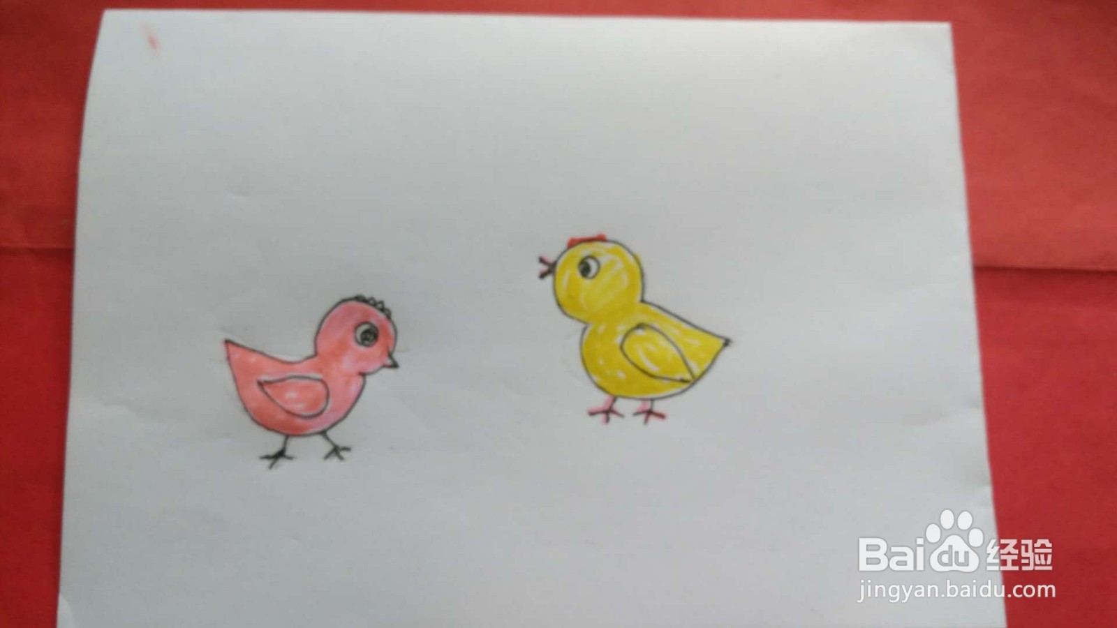小鸡简笔画图片彩色