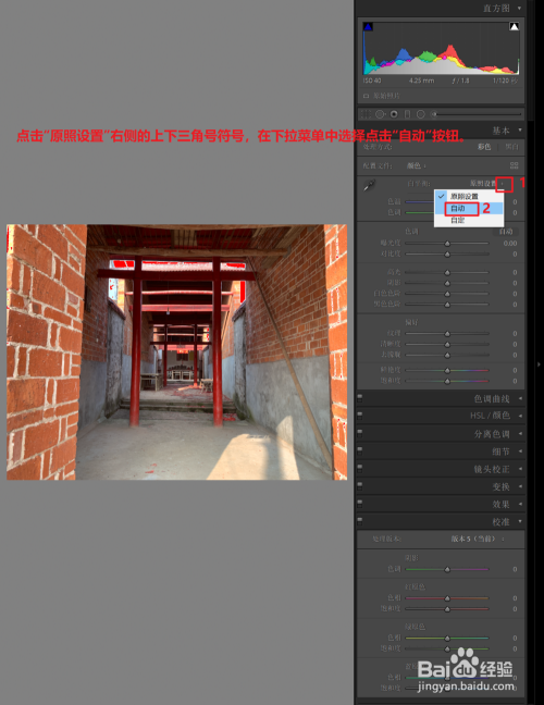 如何在lightroom自动对图片进行调色 百度经验