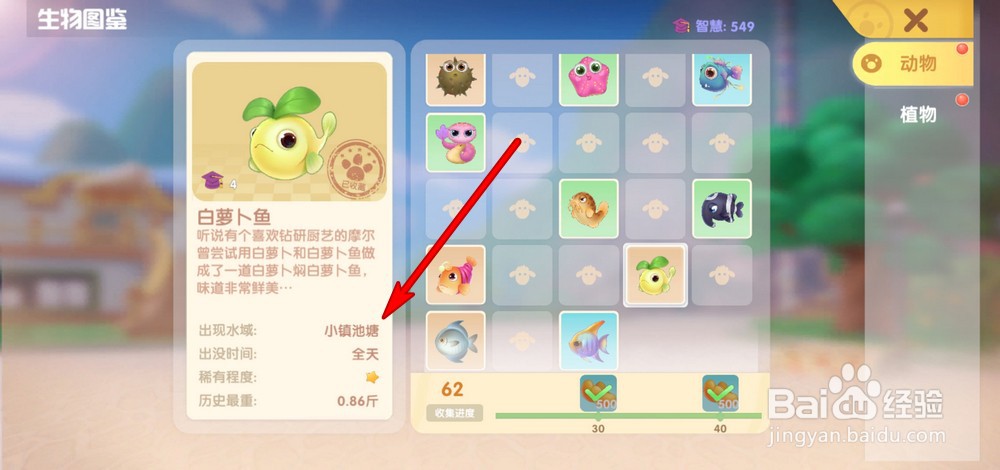 摩尔庄园手游银鲳鱼和白萝卜鱼在哪里获得