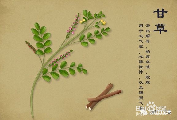 中药甘草是什么,你了解吗?