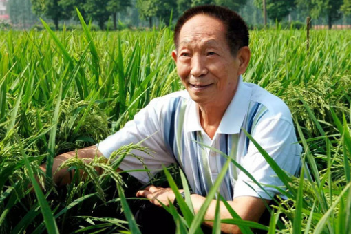 ·农民科学家袁隆平属相是什么