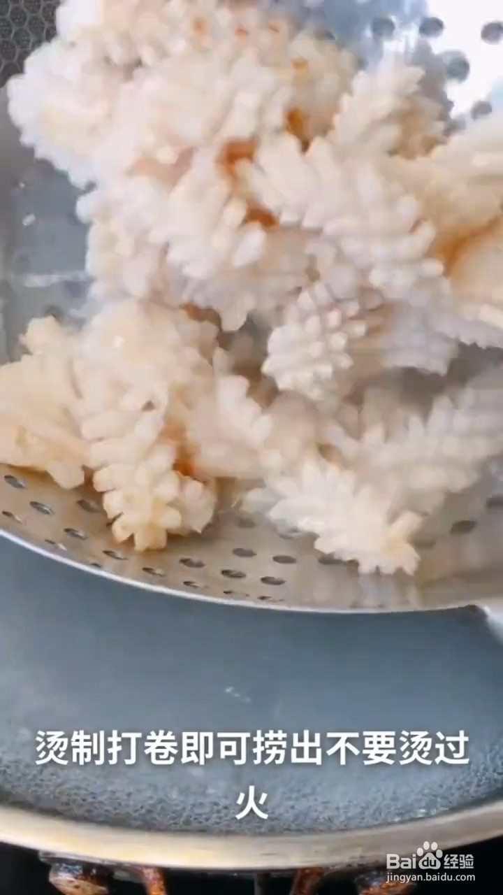 教你制作美食爆炒鱿鱼？