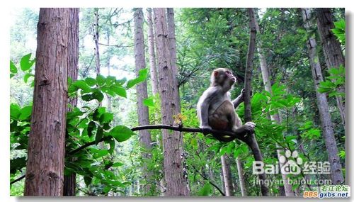 张家界攻略祥解