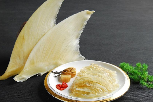 鱼翅分为多少种