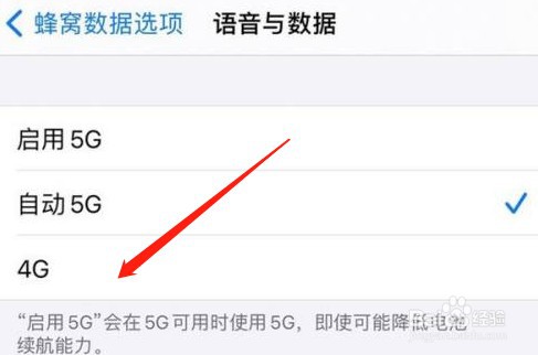 iphone12如何关闭5g网络