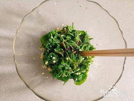 桑叶怎么做好吃听