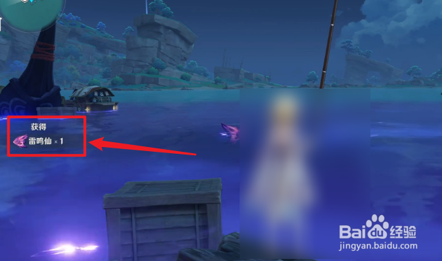 原神雷鸣仙怎么钓