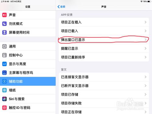 iPad怎么在旁白打开弹出窗口已显示声音的开关