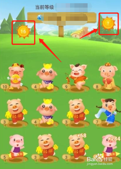 阳光养猪场怎么获取金币