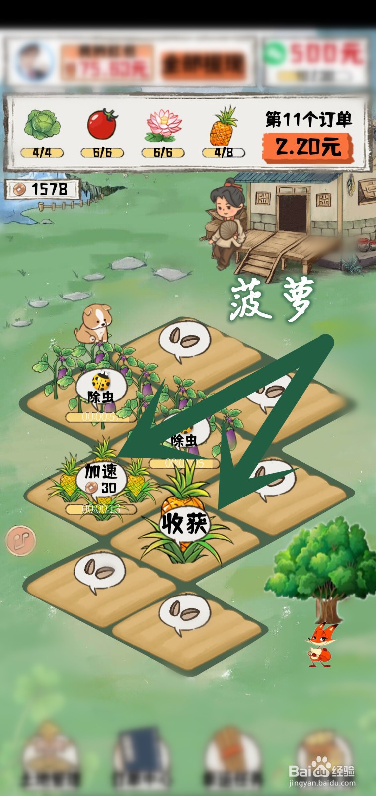 秘境农场怎么完成种植菠萝任务