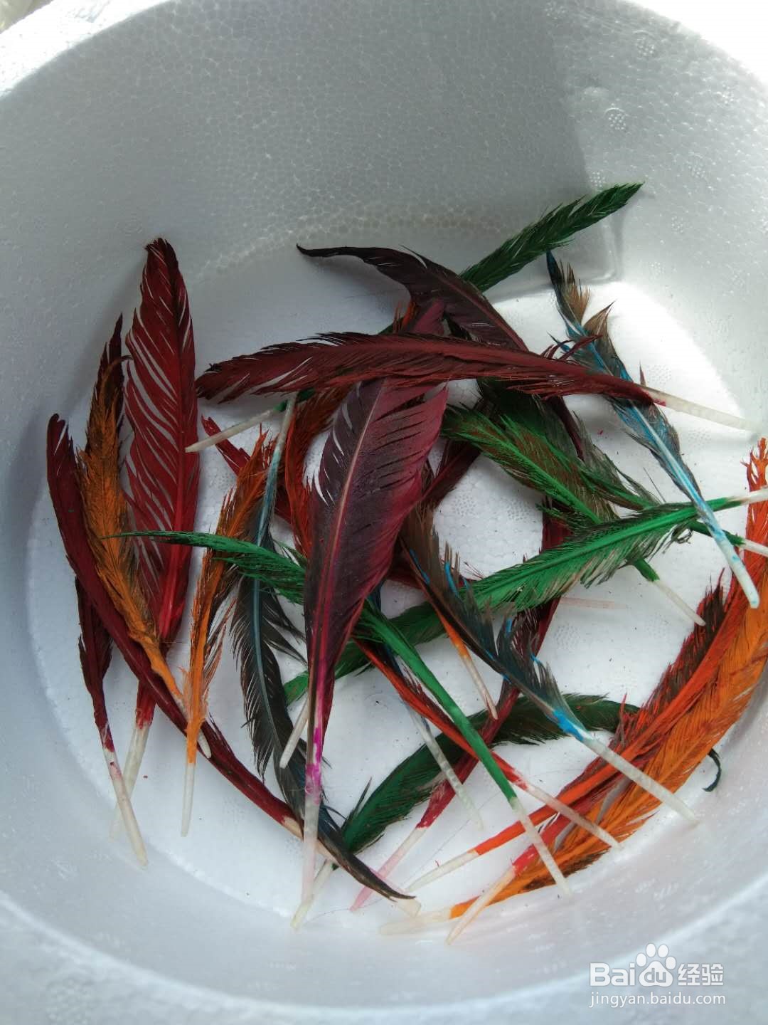 如何将鸡毛做成彩色羽毛