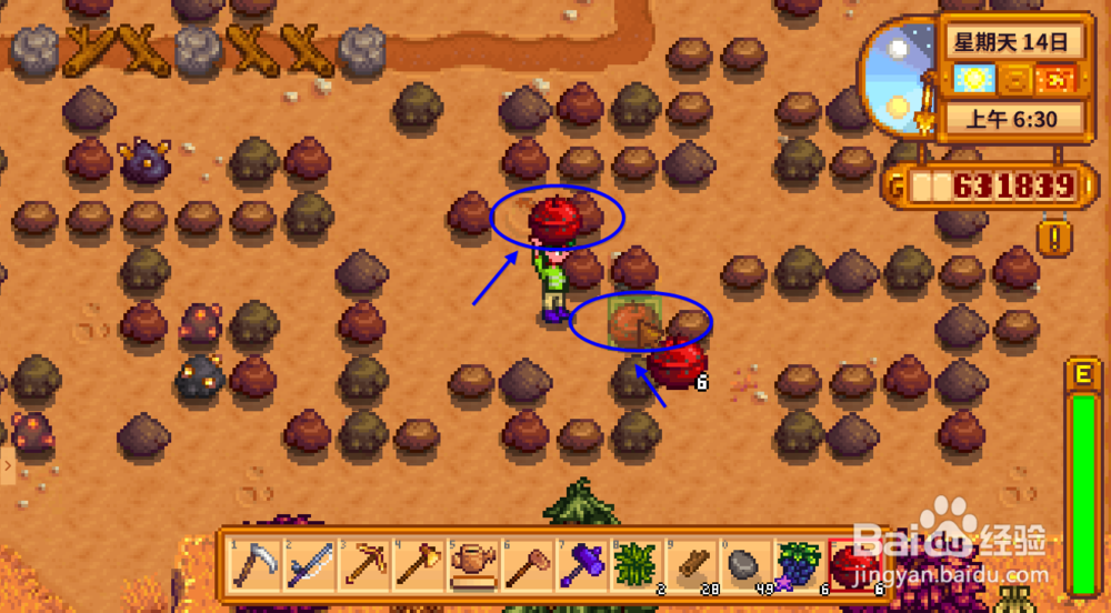 星露谷物语水井怎么造