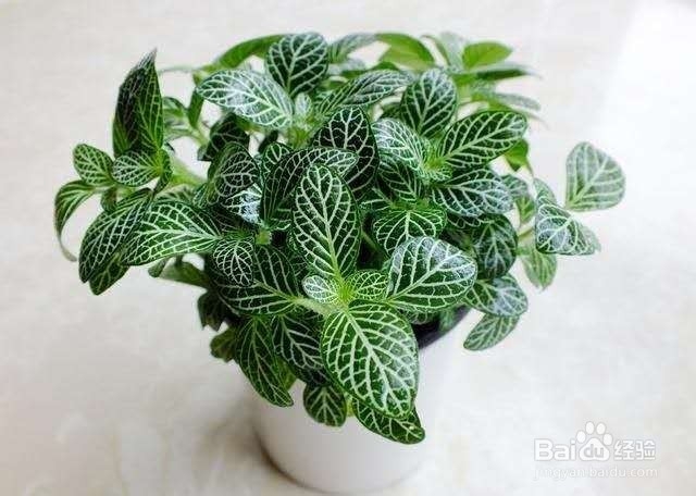 学会这几个小技巧,轻松改变土壤肥力!