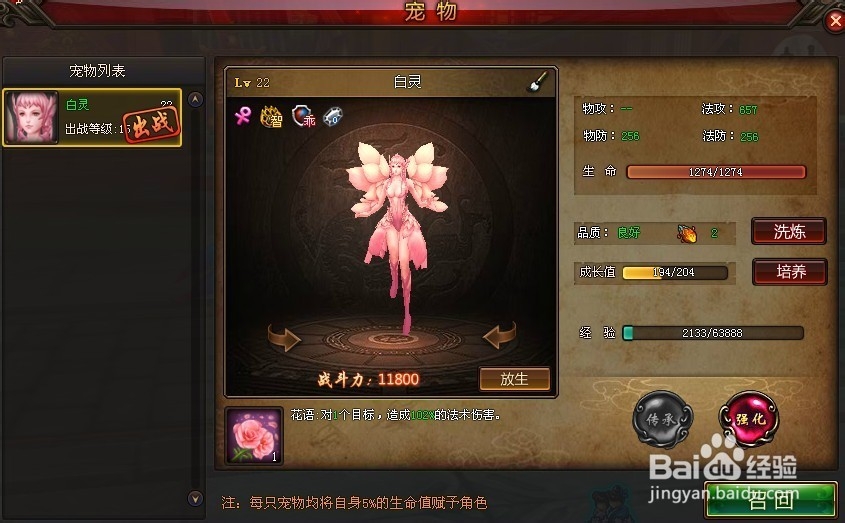 梦回江湖宠物系统攻略