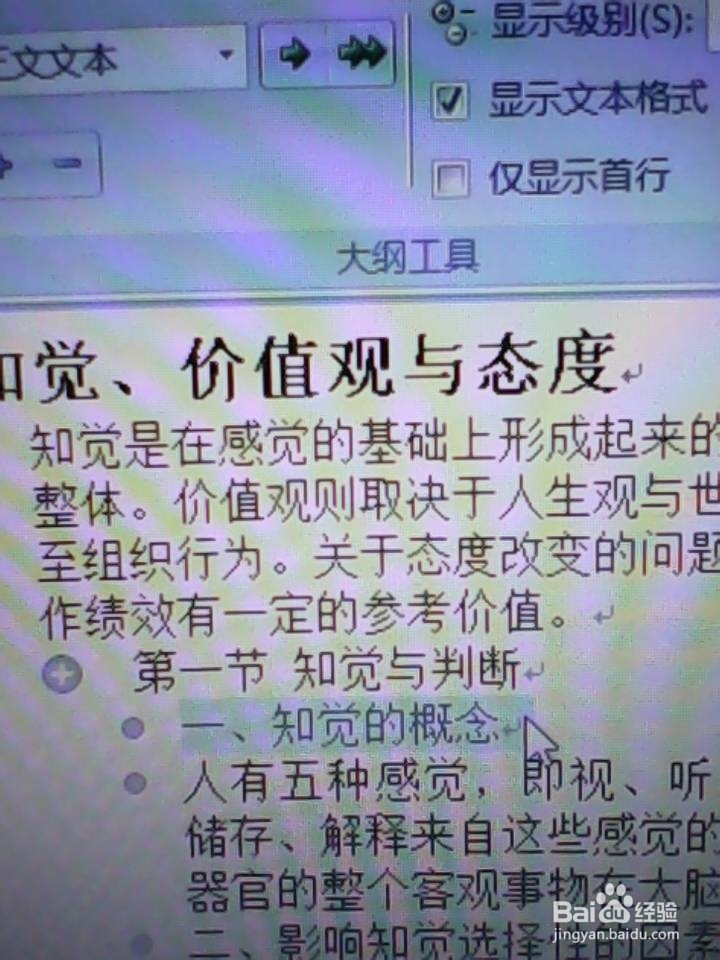 Word文档插入自动目录