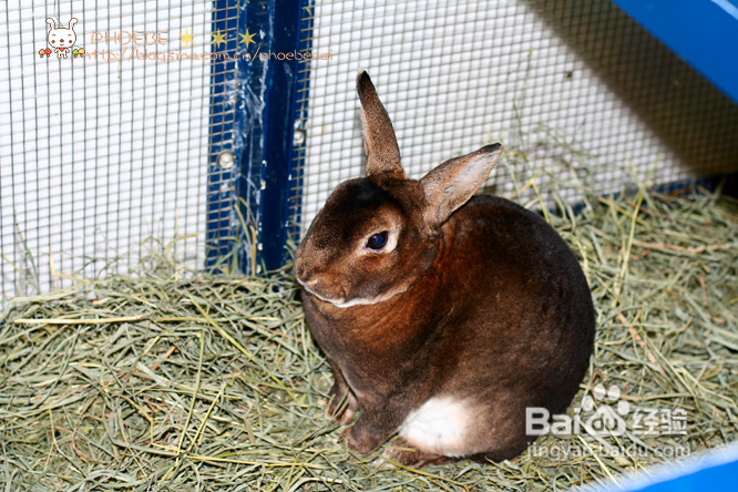 拾海的孩子&亲亲小动物(组图)