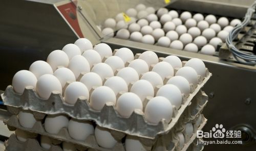 大量鸡蛋怎么运输