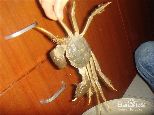 煮螃蟹的做法步骤如下