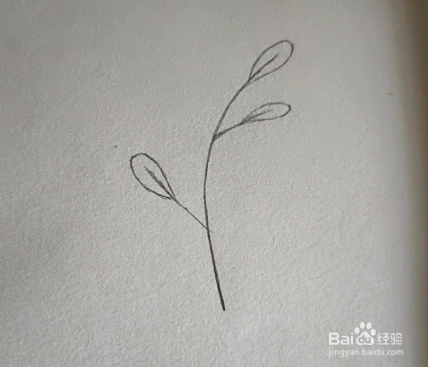 铅笔画-怎么画一款简单好看的绿植