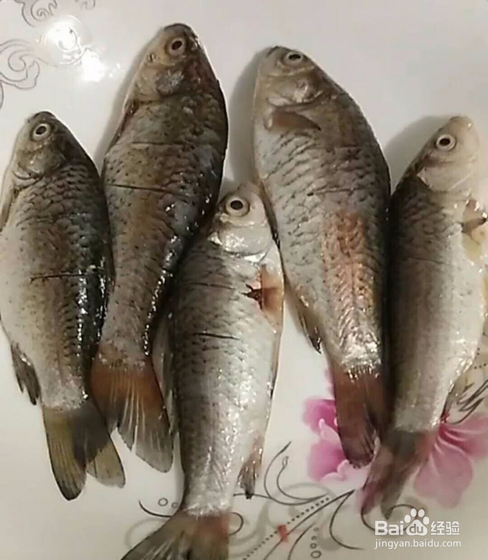 鲫鱼煲汤教程