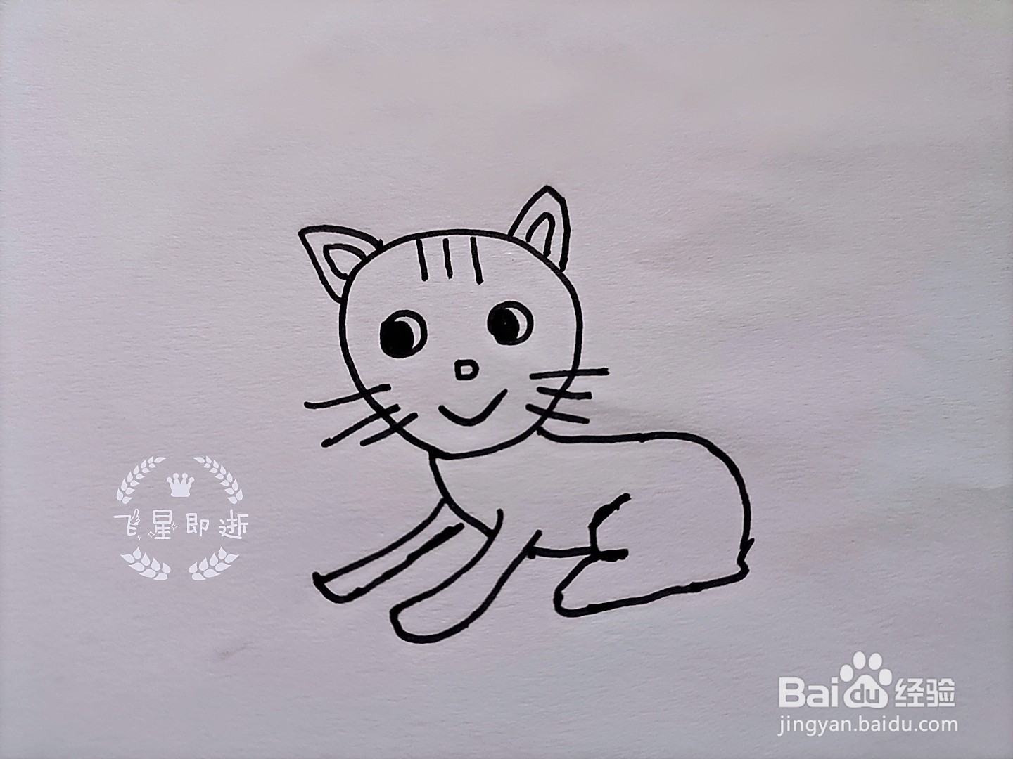 儿童简笔画 一只可爱的猫