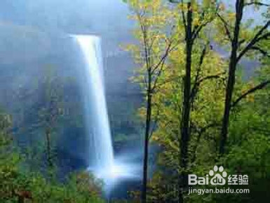 株洲到张家界旅游攻略