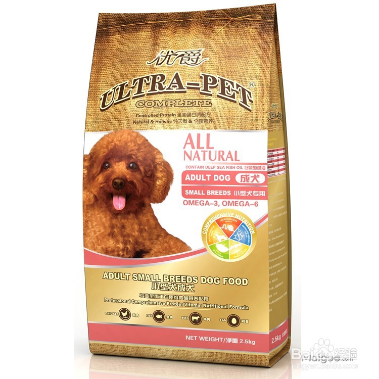 巧克力色泰迪怎么养才不褪色