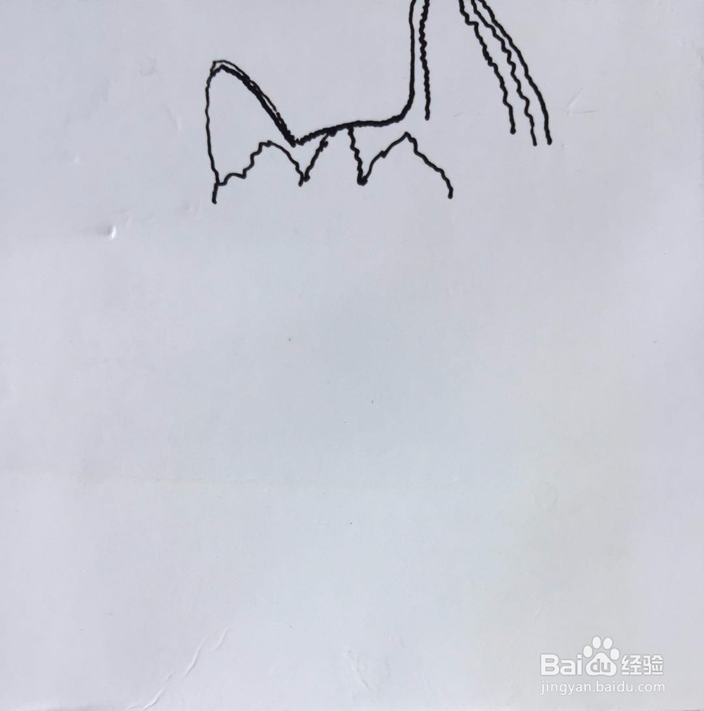 茉莉手绘之哈士奇