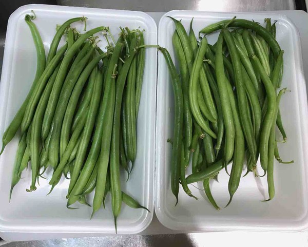 豆角焖面的做法