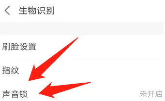 支付宝怎样设置声音锁