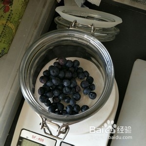 怎么做蓝莓酒