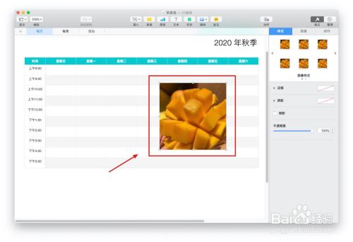 Numbers表格“日程表”模板中如何插入照片
