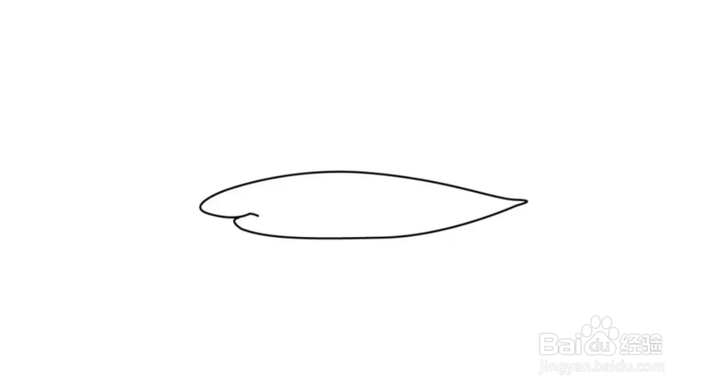 鲸鱼简笔画教程