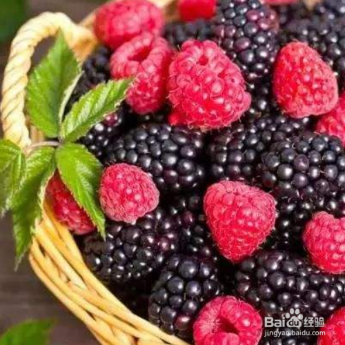 桑椹有什么功效?