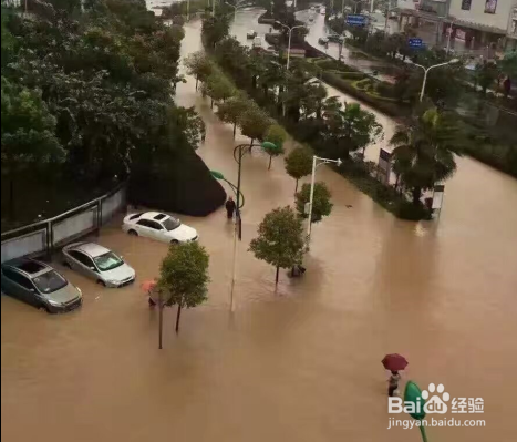 台风到来时开车出行停车注意哪些事项
