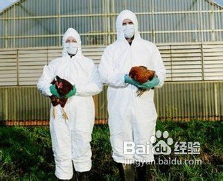 正确认识H7N9