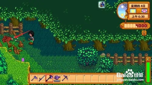 星露谷物语怎么获得硬木