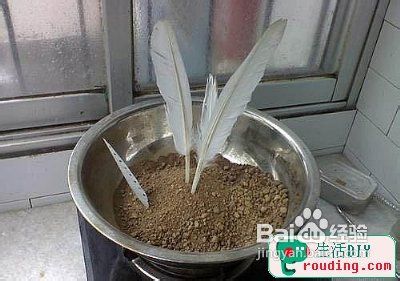 古代羽毛笔的做法