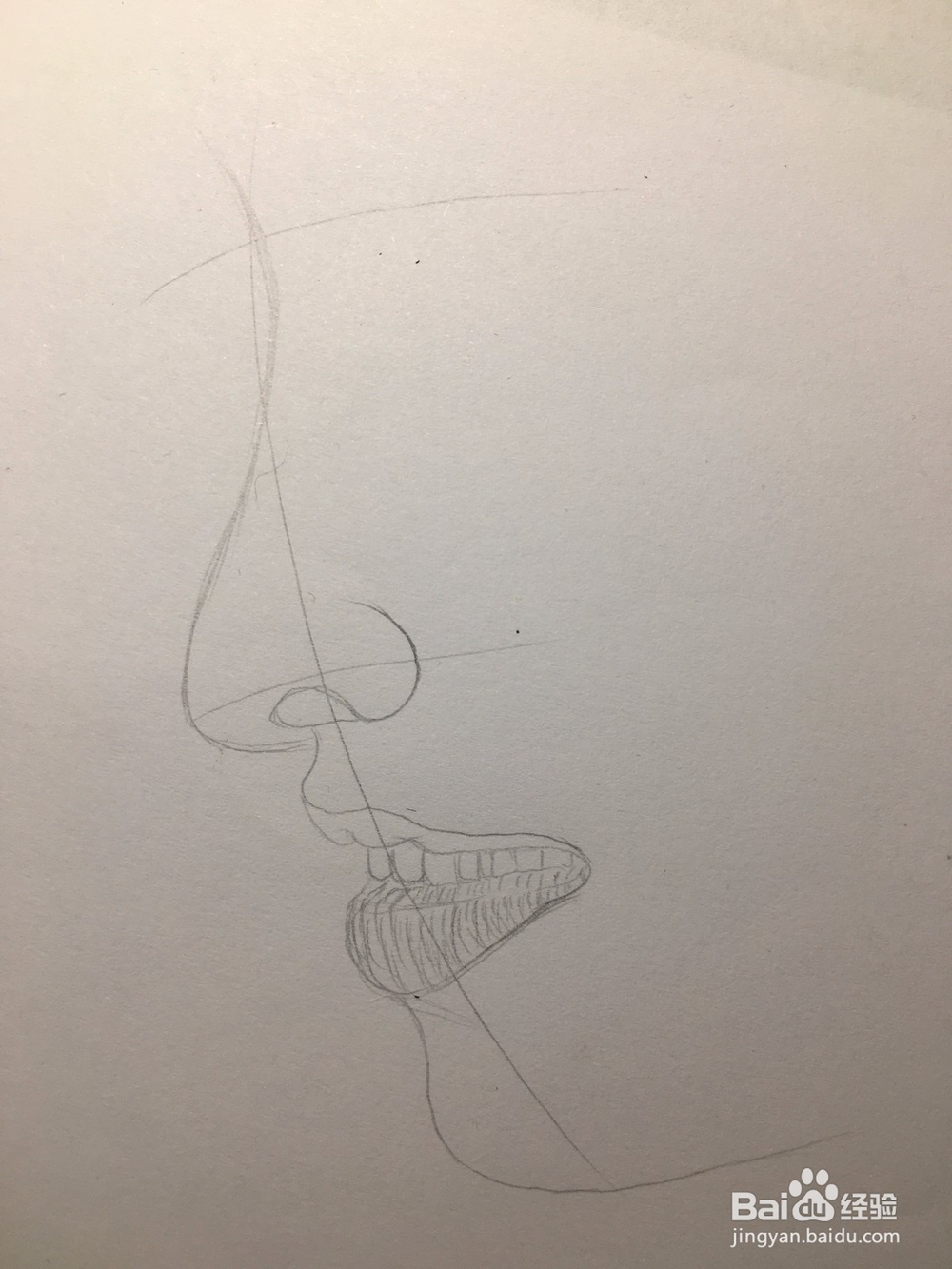 画女人的侧脸 画眼睛鼻子嘴唇 人脸简笔画