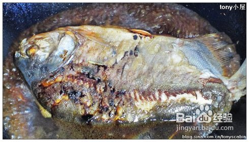 煎鱼不粘锅的秘诀----红烧鳊鱼