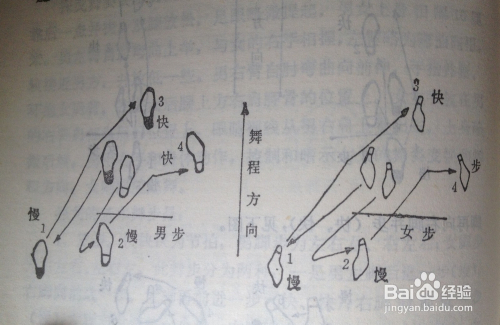 交际舞中探戈的基本舞步有哪些
